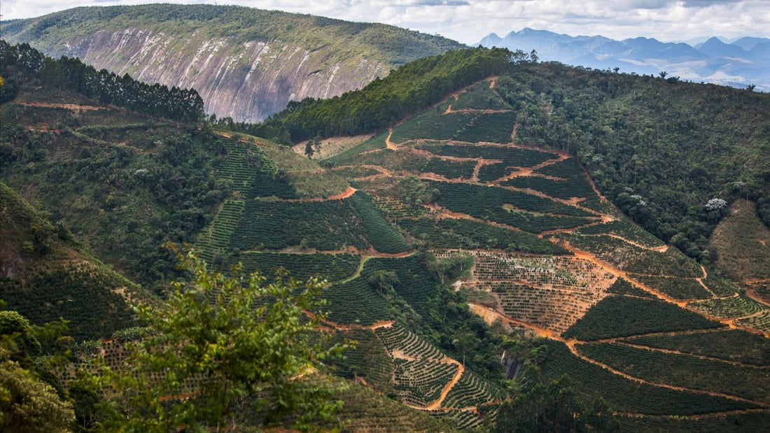 Origin Updates-News from the ground